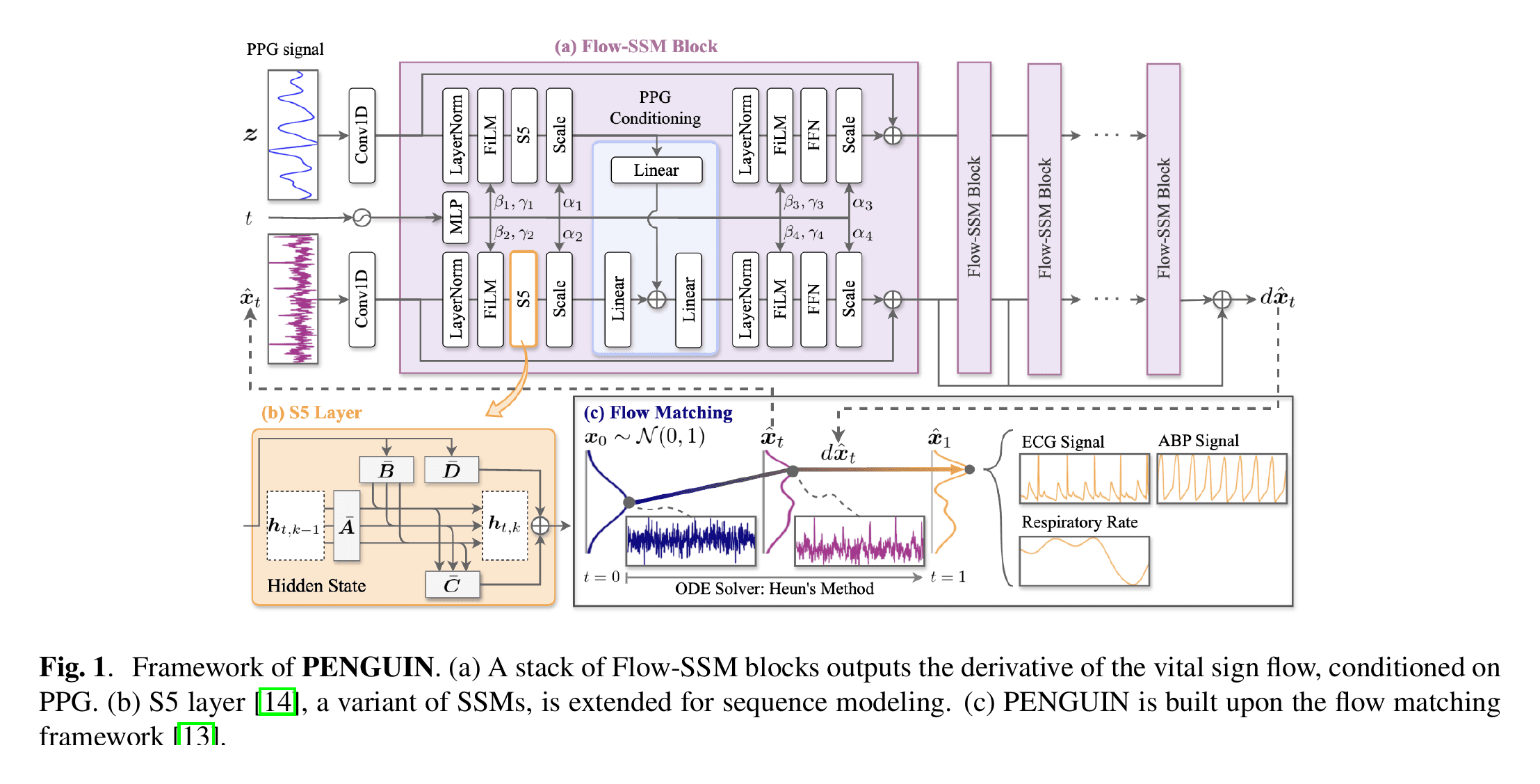 PENGUINの構成。PPGで条件付けたFlow-SSMブロックとS5層、ノイズから心電図・血圧・呼吸波形へ変換するFlow Matching。